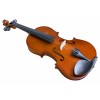 Violina (po narudžbi)