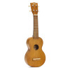 Ukulele (smeđi) s opremom