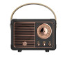 Bežični mini bluetooth radio
