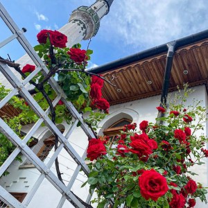 𝑰 𝒋𝒂 𝒊𝒎𝒂𝒎 𝒕𝒆𝒃𝒆, 🌹 𝒎𝒐𝒋𝒂
𝑻𝒆𝒃𝒆 𝒋𝒆𝒅𝒏𝒖, 𝒔𝒕𝒐 𝒏𝒆𝒔𝒑𝒐𝒌𝒐𝒋𝒂… ♥️

A ko je vaša ruža? 🥰

•••
#dinomerlin #dinomerlinofficial #dinomerlincitati #dinomerlinstihovi #svijetmagaze #magaza #sarajevo #bascarsija #bosnia #bosnaihercegovina #ruza #ijaimamteberužomoja #stihovi #muzika #ljubav #pjesma #dzamija #roses #mosque #instaphoto