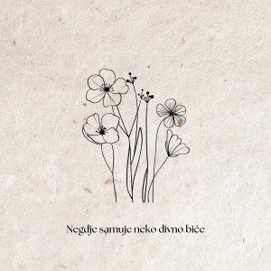 Negdje samuje neko divno biće…🌹

#dinomerlin #dinomerlinofficial #dinomerlinstihovi #svijetmagaze #magaza #sarajevo #bascarsija #sarajevobosnia #bosna #bosnaihercegovina #novialbum #mi #nekabudeđula