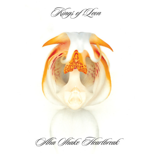 Omot albuma Aha Shake Heartbreak benda Kings of Leon s narandžastom karikaturom na bijeloj pozadini.