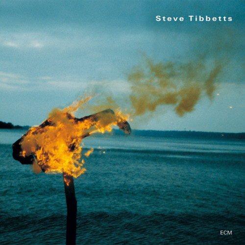Steve Tibbetts