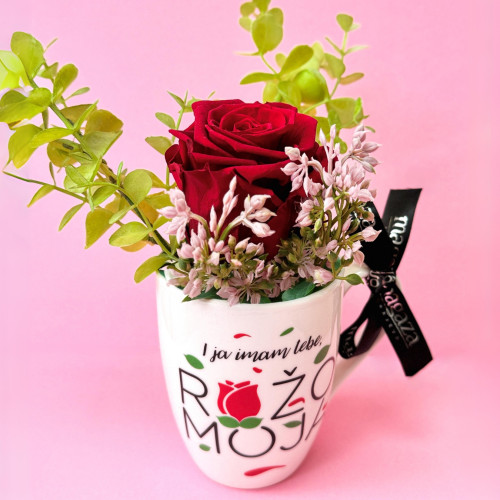 Crvena trajna ruža u bijeloj porculanskoj šolji 'I ja imam tebe, ružo moja' s 'Magaza' crnom vrpcom i crna poklon-kutija s potpisom Dine Merlina na rozoj pozadini.