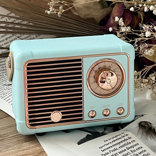 Svijetlo plavi mini bluetooth radio sa detaljima rose gold nijanse na bijeloj pozadini.
