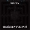These New Puritans