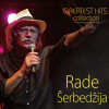 Rade Šerbedžija