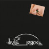 Divlje jagode