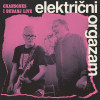 Električni orgazam