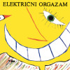 Električni orgazam