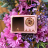 Bežični mini bluetooth radio